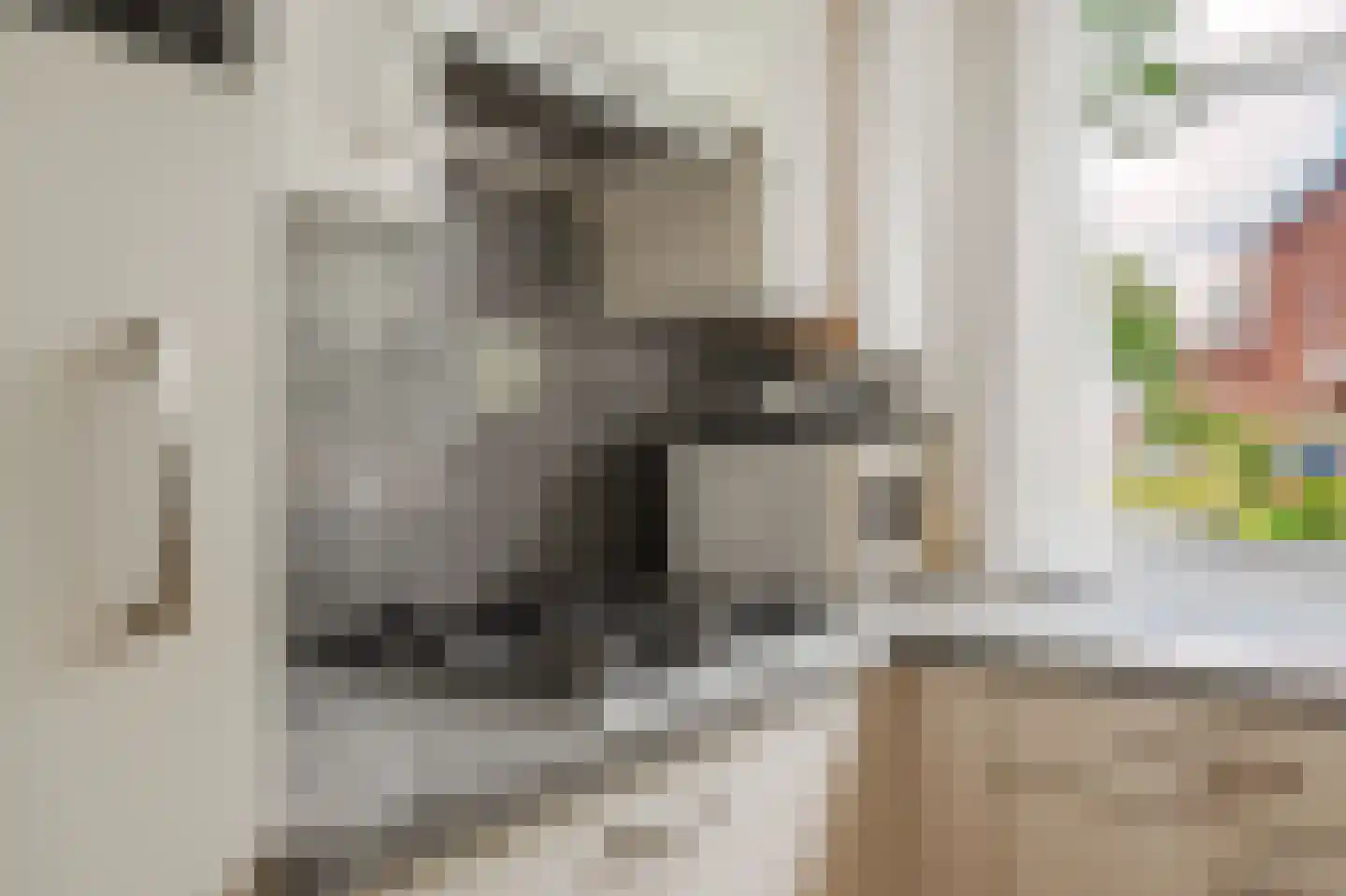 Knoopkruid 78 Diemen thumbnail 33