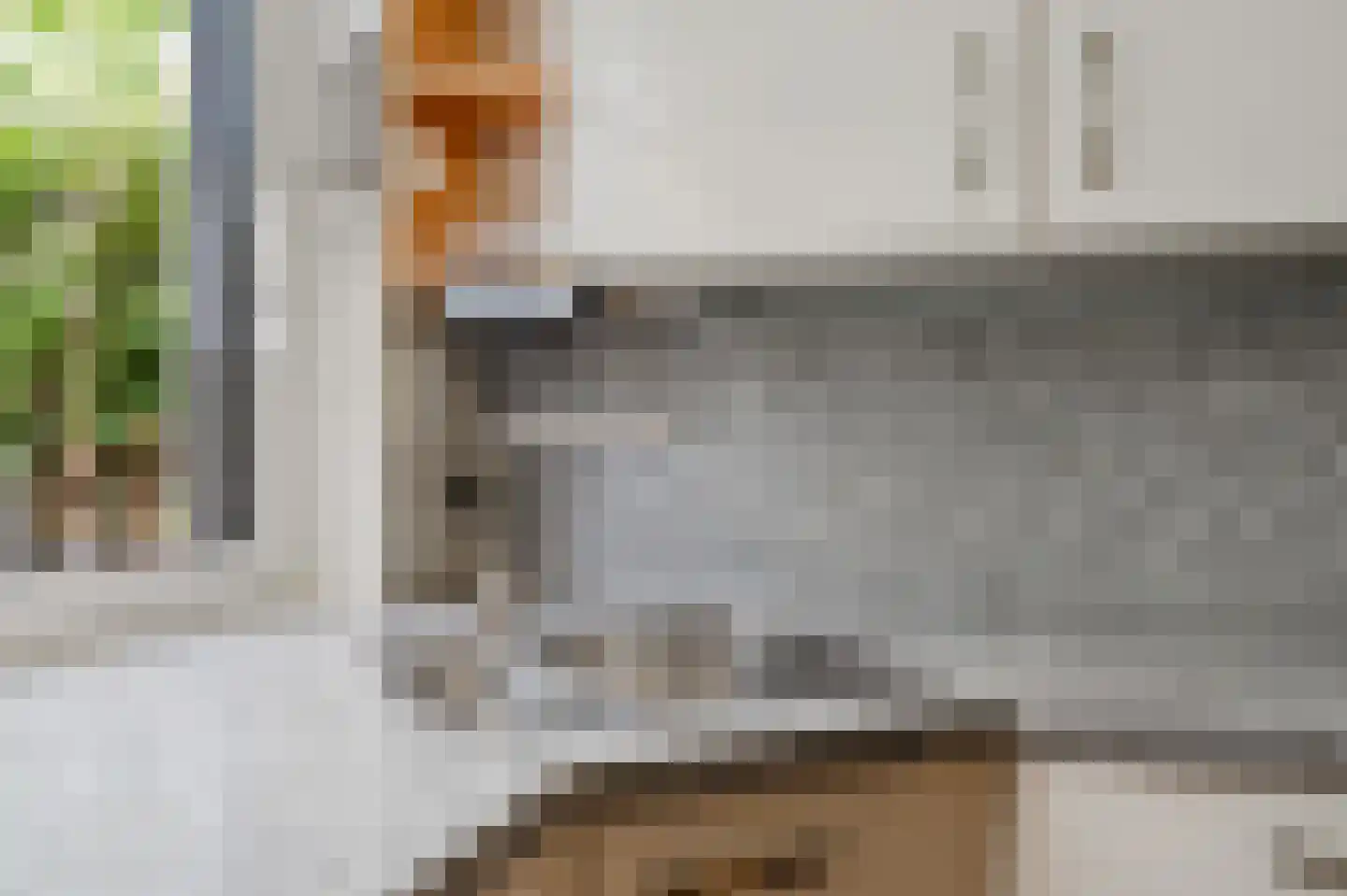 Knoopkruid 78 Diemen thumbnail 34