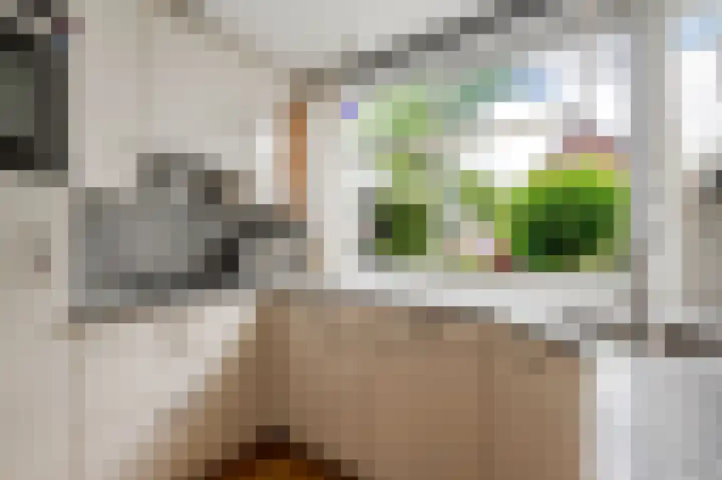 Knoopkruid 78 Diemen thumbnail 4