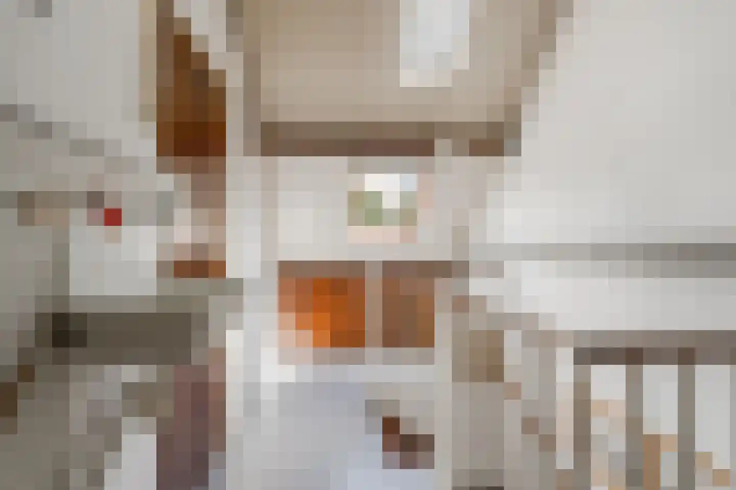 Knoopkruid 78 Diemen thumbnail 48