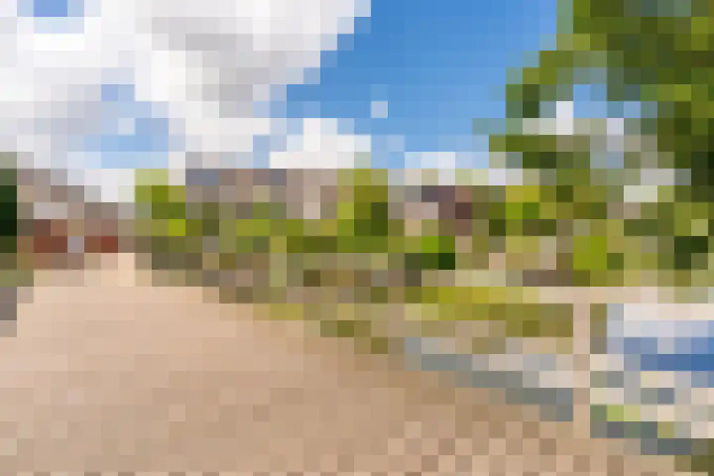 Knoopkruid 78 Diemen thumbnail 55