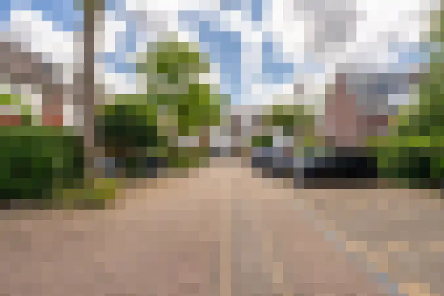Knoopkruid 78 Diemen thumbnail 56