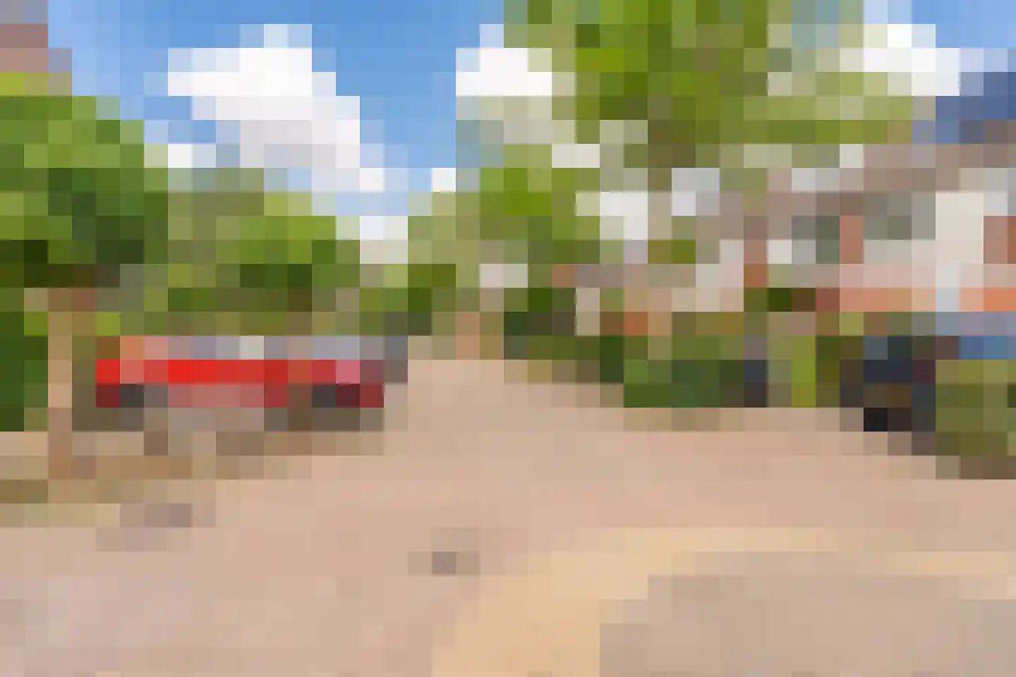 Knoopkruid 78 Diemen thumbnail 57