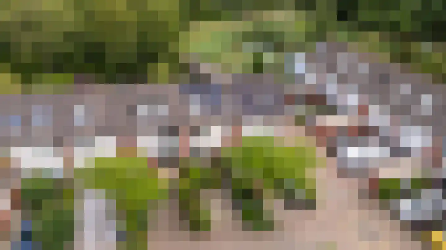 Knoopkruid 78 Diemen thumbnail 58