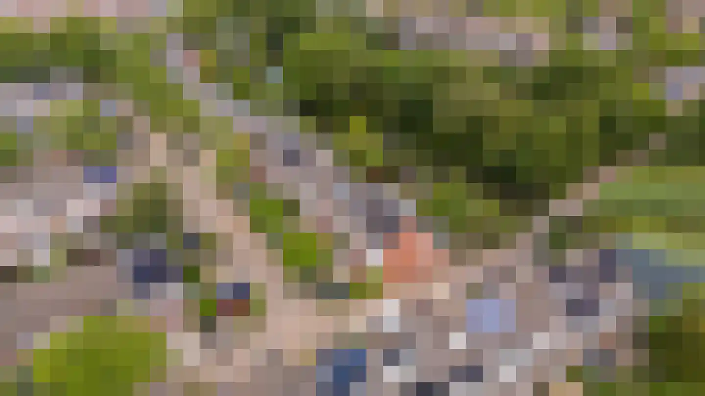 Knoopkruid 78 Diemen thumbnail 59