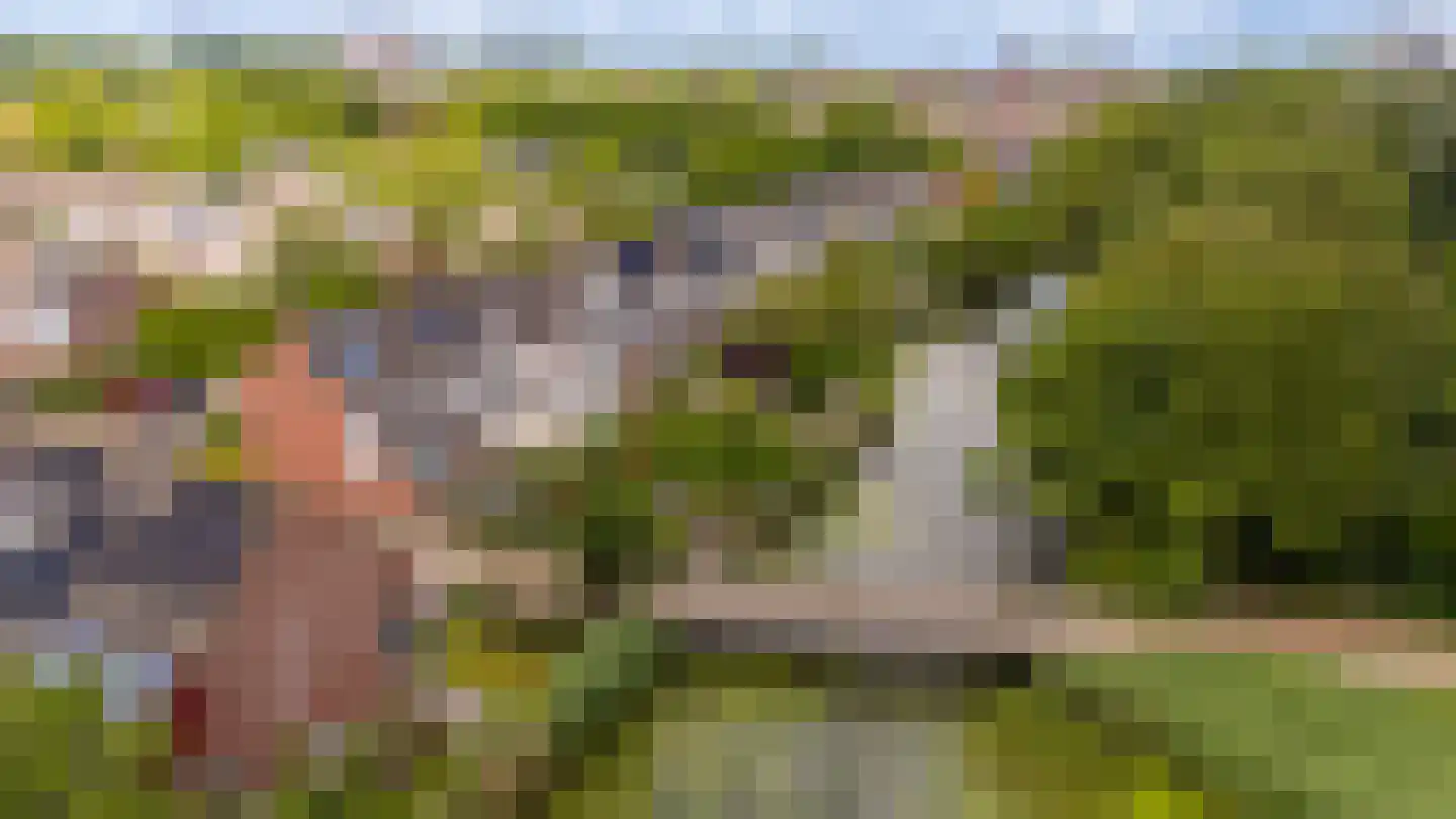 Knoopkruid 78 Diemen thumbnail 60