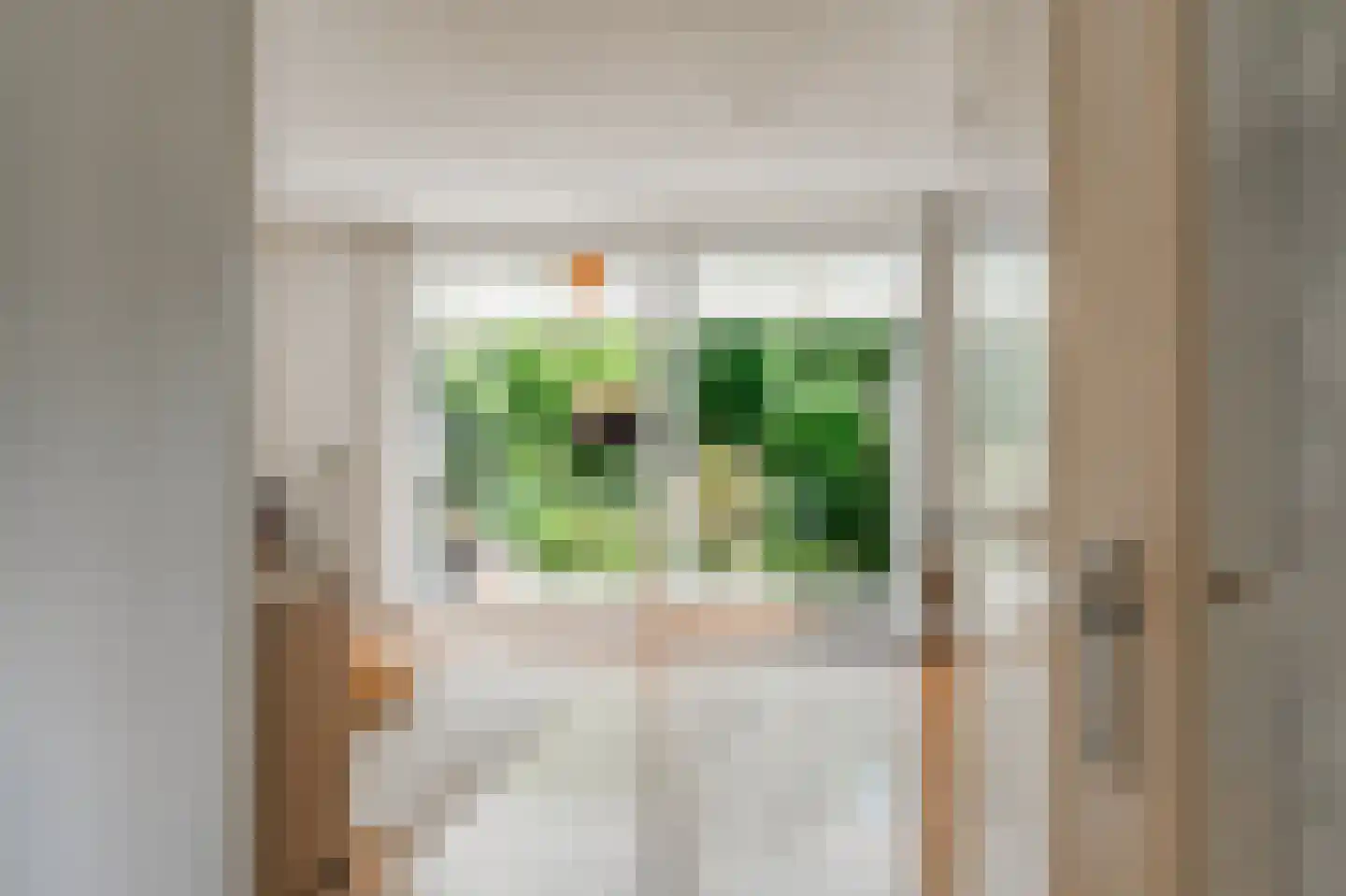 Knoopkruid 78 Diemen thumbnail 7