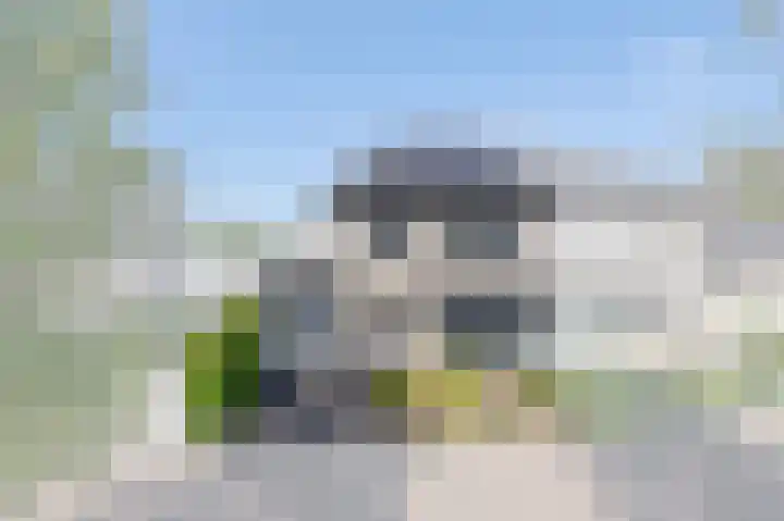 Knoopkruid 8 Tegelen