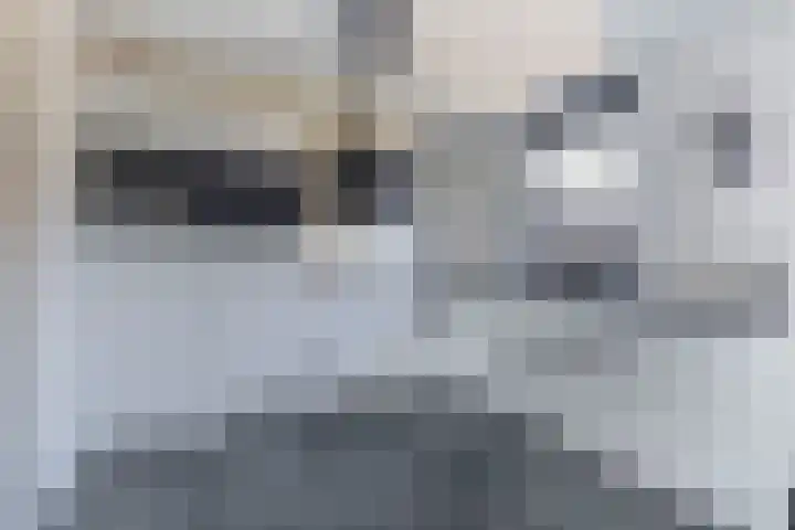 Knoopkruid 8 Tegelen thumbnail 10