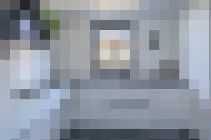 Knoopkruid 8 Tegelen thumbnail 11
