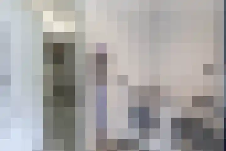 Knoopkruid 8 Tegelen thumbnail 12