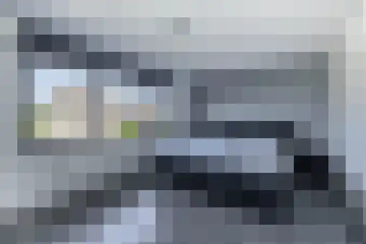 Knoopkruid 8 Tegelen thumbnail 15