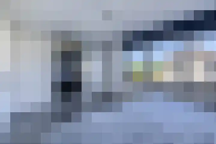 Knoopkruid 8 Tegelen thumbnail 16