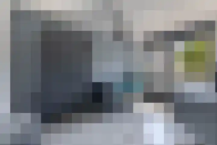 Knoopkruid 8 Tegelen thumbnail 17