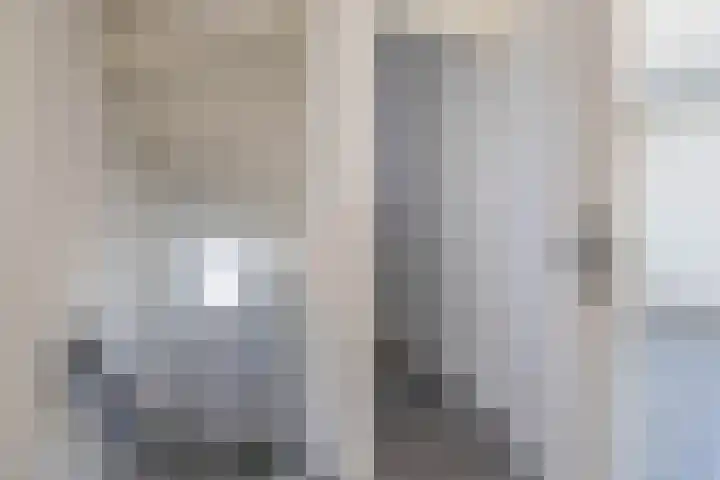 Knoopkruid 8 Tegelen thumbnail 21