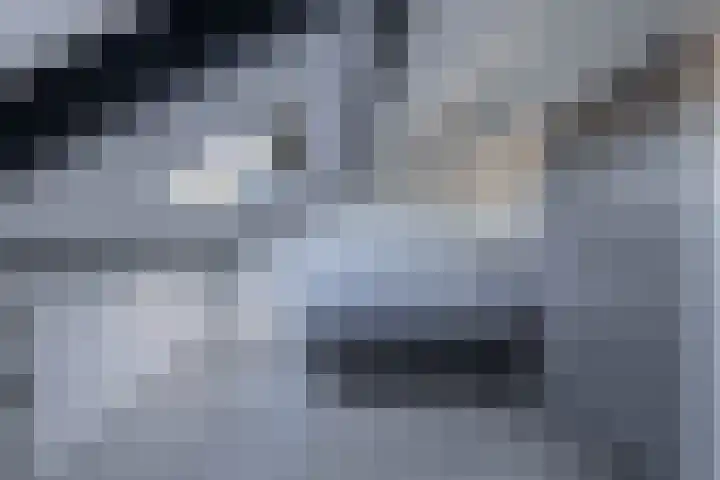Knoopkruid 8 Tegelen thumbnail 22