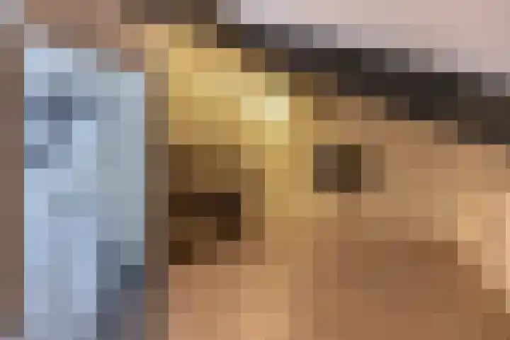 Knoopkruid 8 Tegelen thumbnail 24