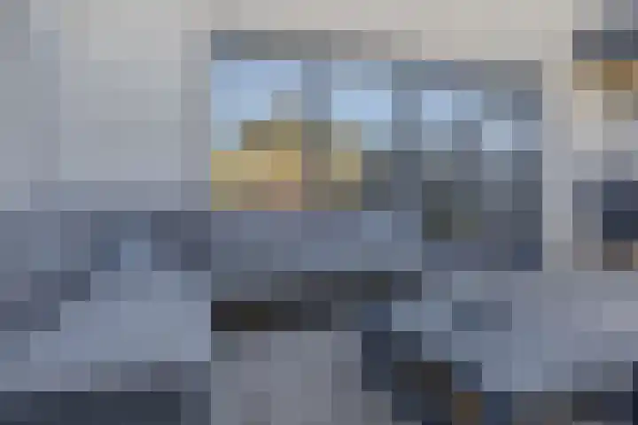 Knoopkruid 8 Tegelen thumbnail 25