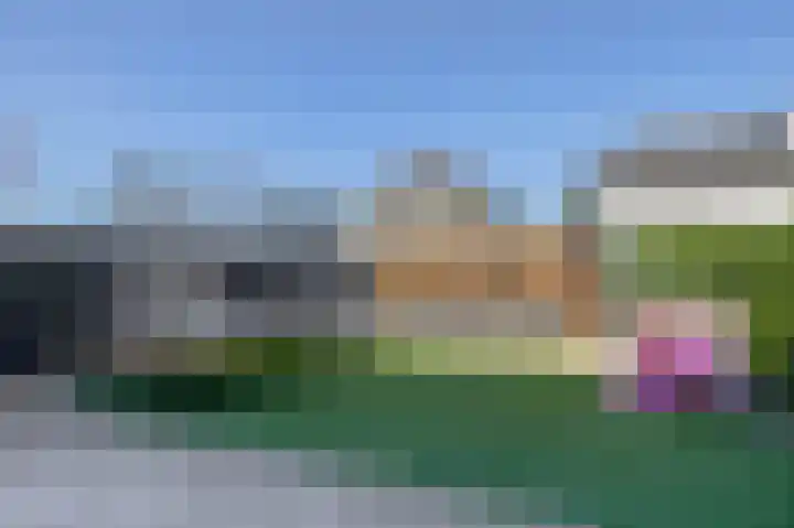 Knoopkruid 8 Tegelen thumbnail 26