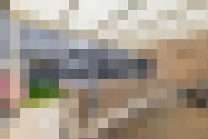 Knoopkruid 8 Tegelen thumbnail 28