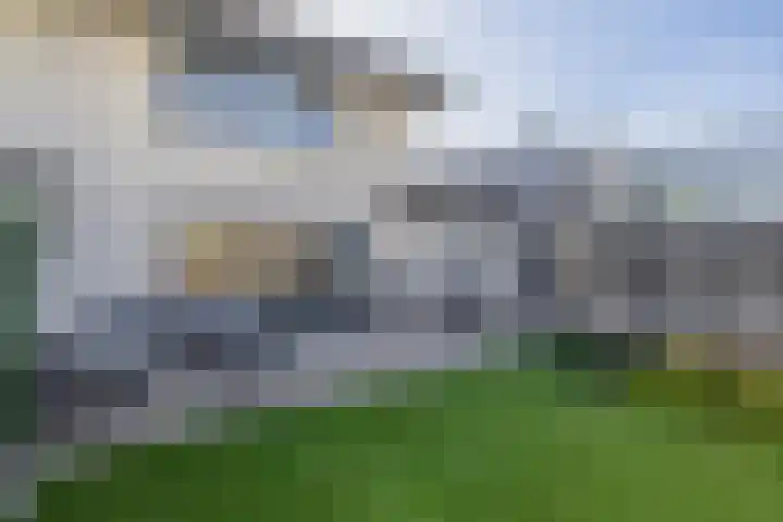 Knoopkruid 8 Tegelen thumbnail 29