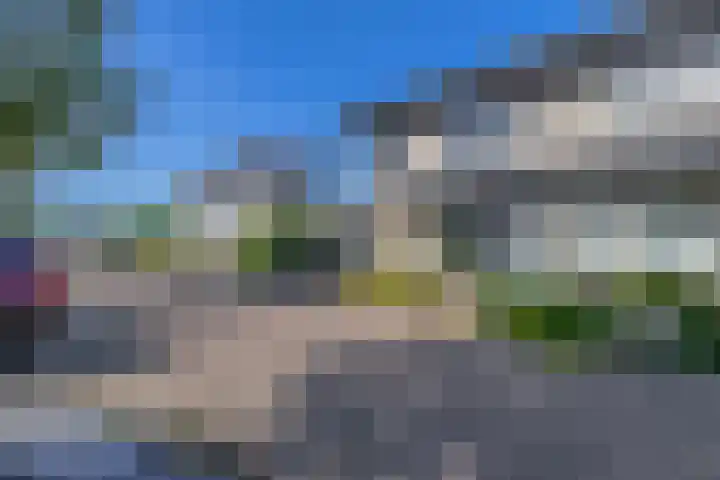 Knoopkruid 8 Tegelen thumbnail 30