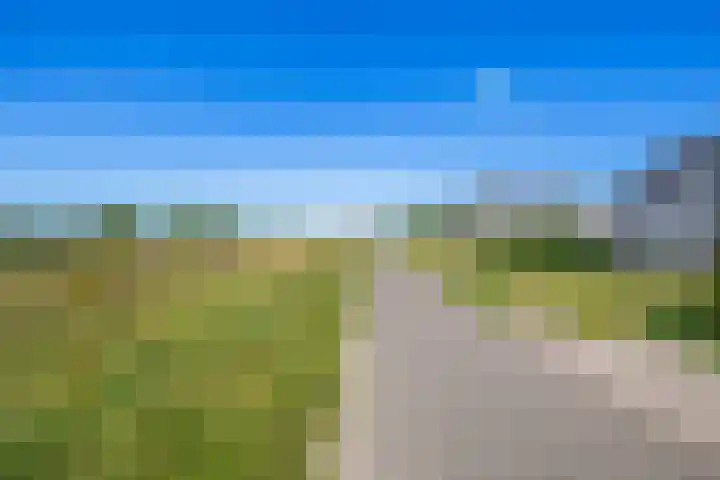 Knoopkruid 8 Tegelen thumbnail 31