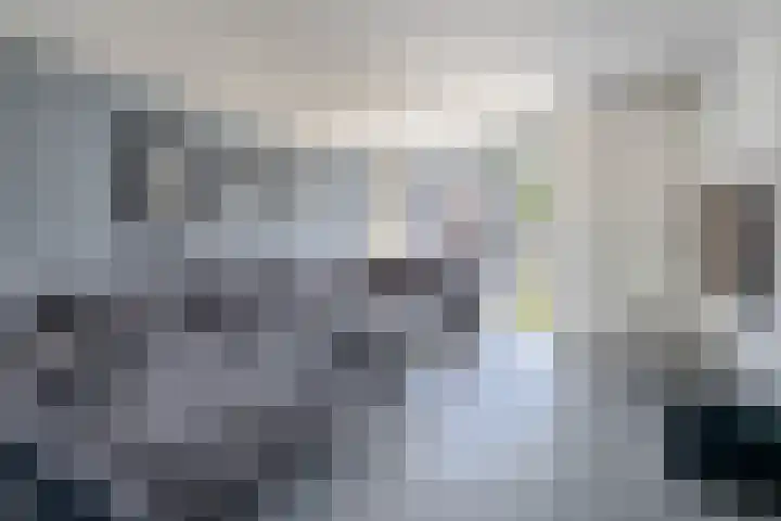 Knoopkruid 8 Tegelen thumbnail 4