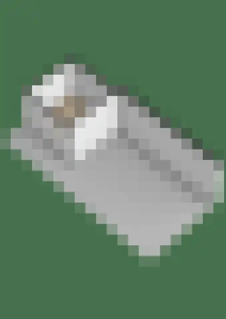 Knoopkruid 8 Tegelen thumbnail 40