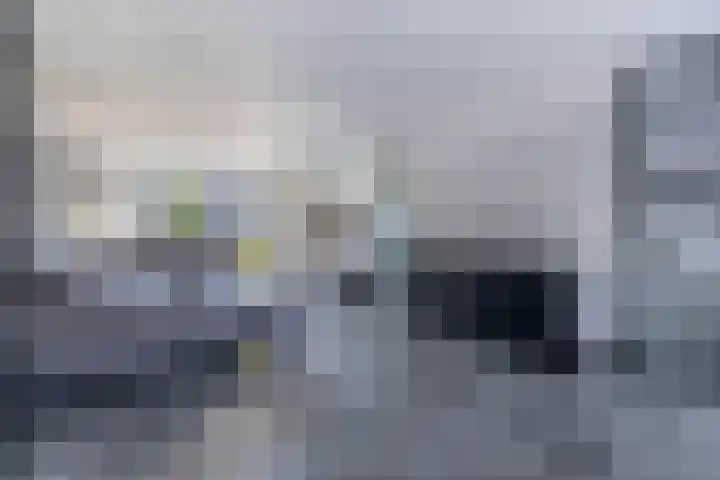 Knoopkruid 8 Tegelen thumbnail 5