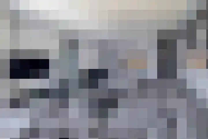 Knoopkruid 8 Tegelen thumbnail 6