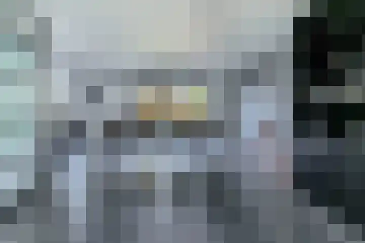 Knoopkruid 8 Tegelen thumbnail 7