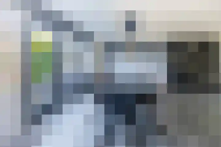 Knoopkruid 8 Tegelen thumbnail 9