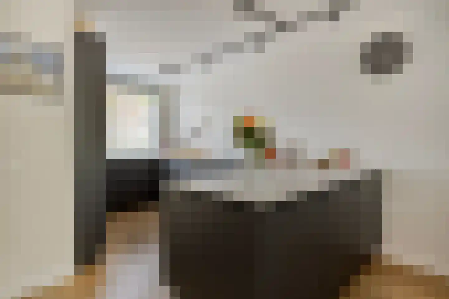 Knoopkruid 86 Diemen thumbnail 12