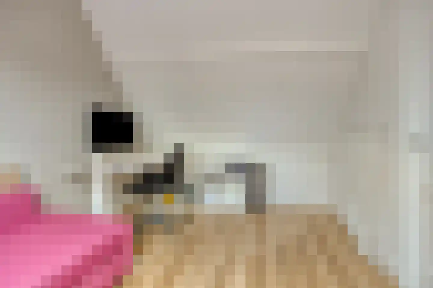 Knoopkruid 86 Diemen thumbnail 27
