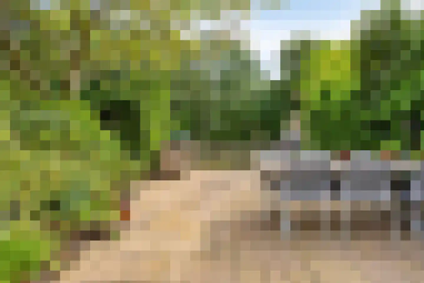 Knoopkruid 86 Diemen thumbnail 29