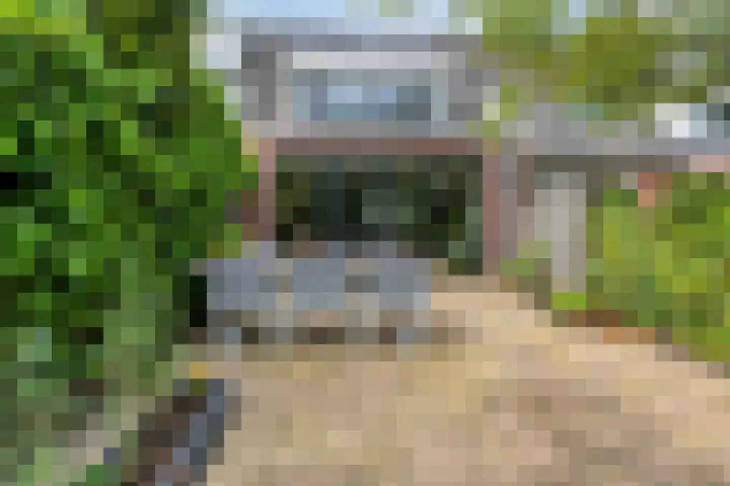 Knoopkruid 86 Diemen thumbnail 31