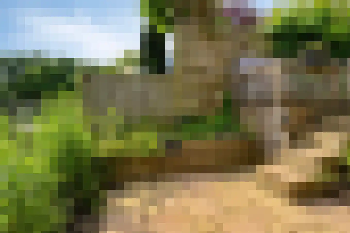 Knoopkruid 86 Diemen thumbnail 35