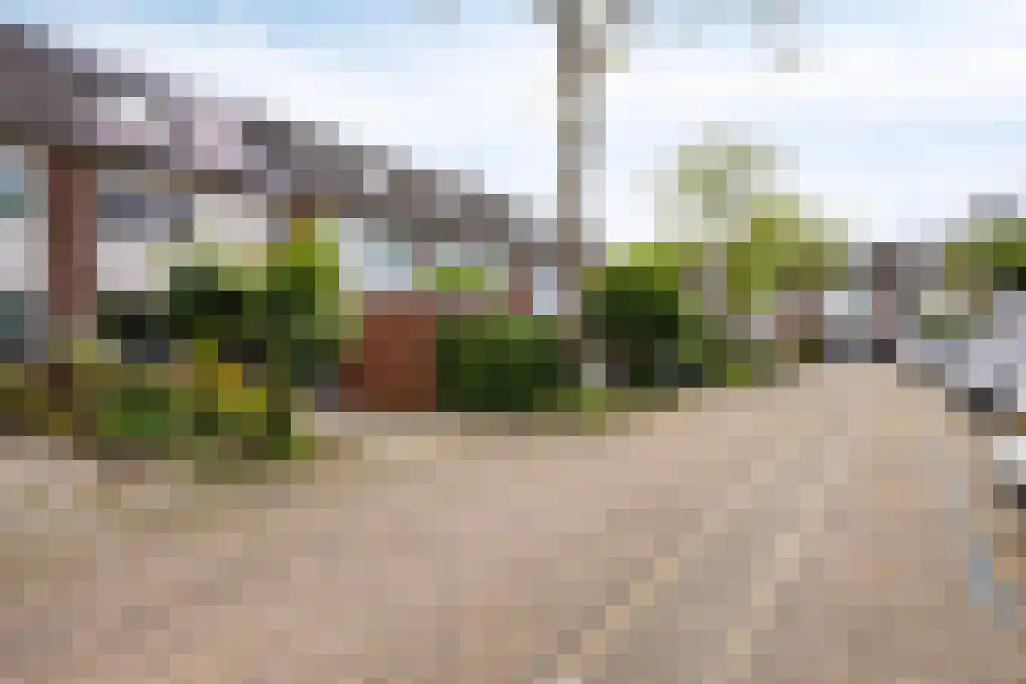 Knoopkruid 86 Diemen thumbnail 38