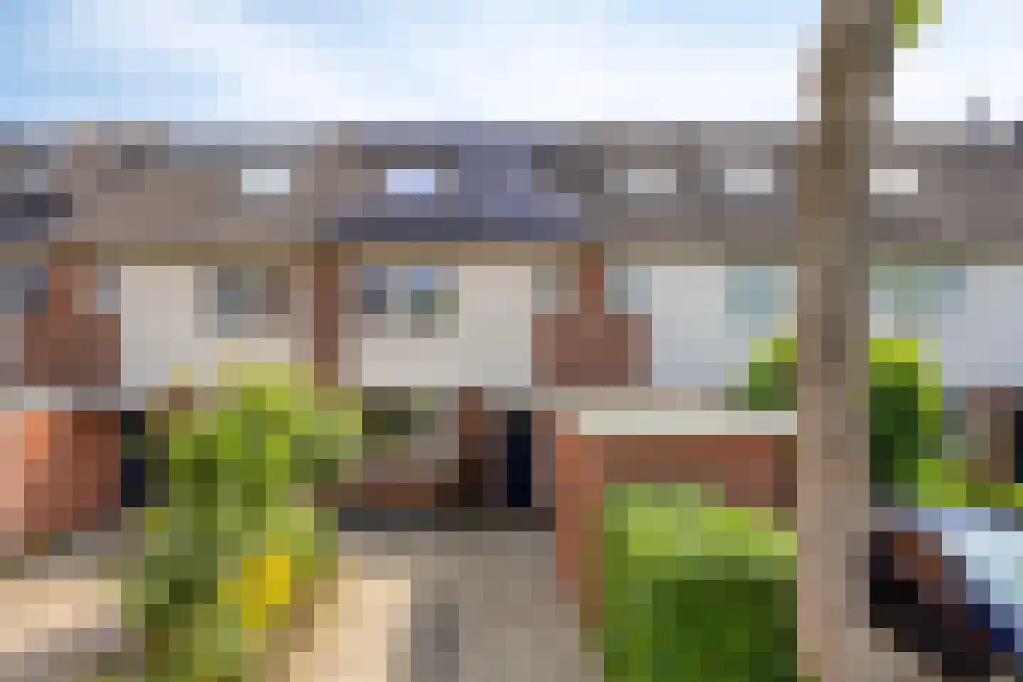Knoopkruid 86 Diemen thumbnail 39