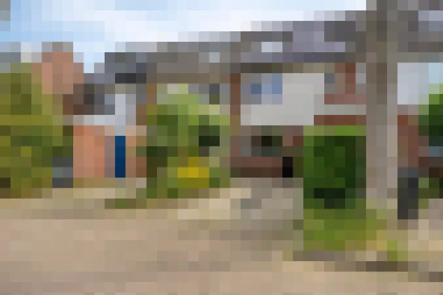 Knoopkruid 86 Diemen thumbnail 40