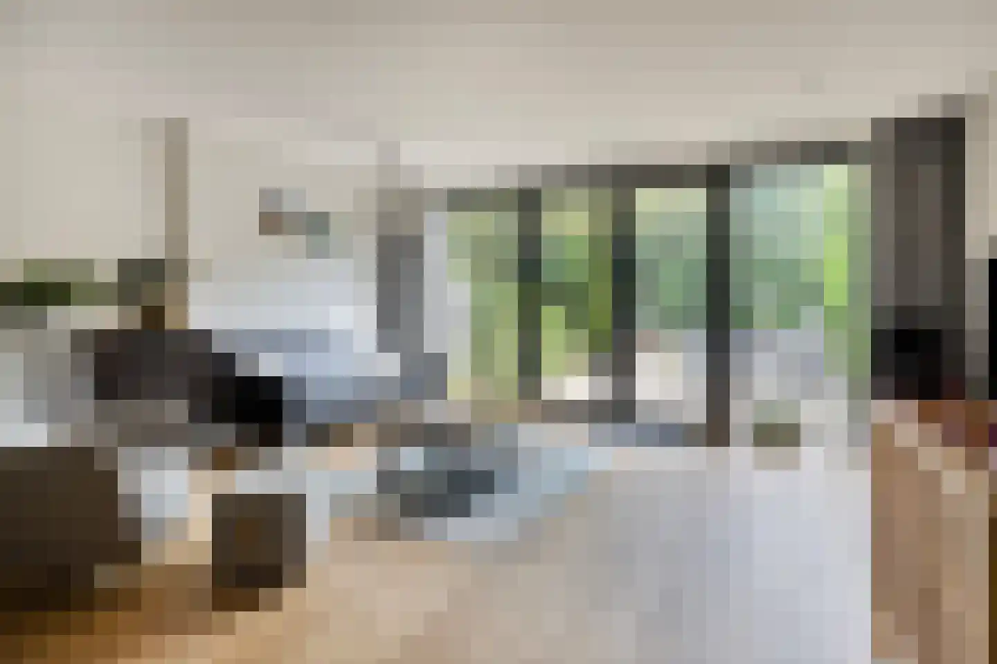 Knoopkruid 86 Diemen thumbnail 6