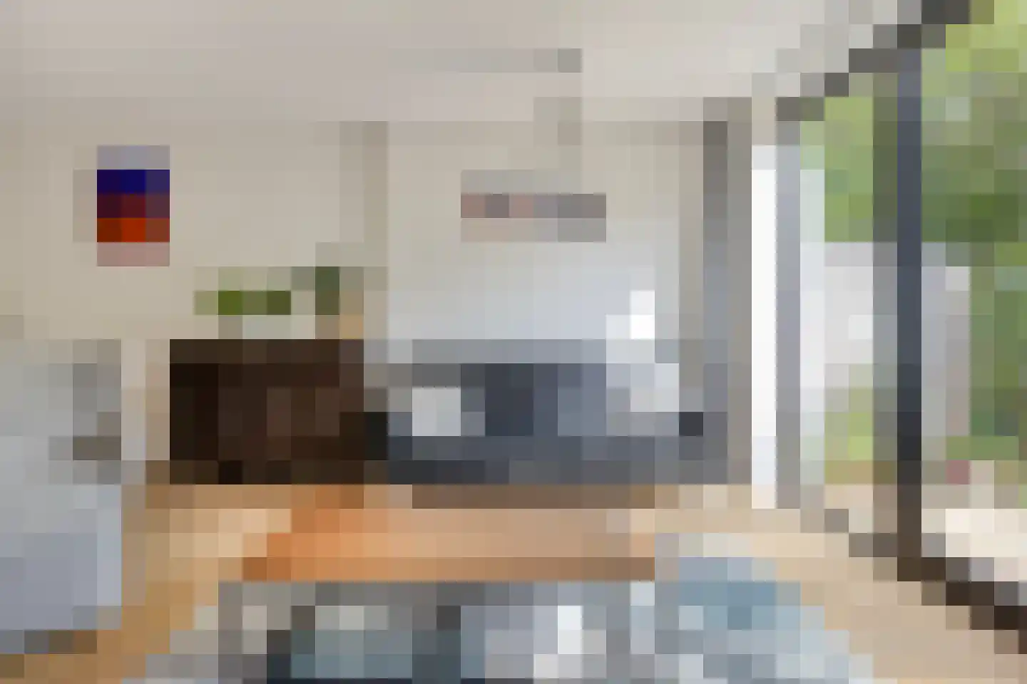 Knoopkruid 86 Diemen thumbnail 7