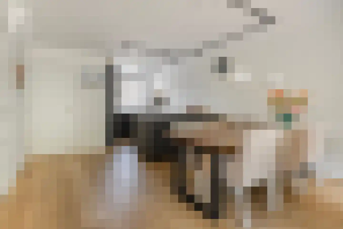 Knoopkruid 86 Diemen thumbnail 9