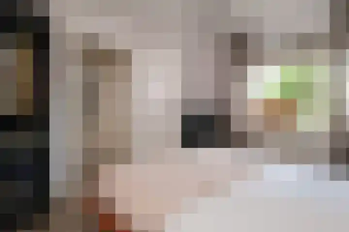Knoopshöfte 29 Almelo thumbnail 12