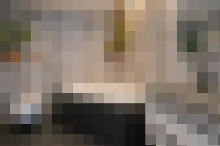 Knoopshöfte 29 Almelo thumbnail 15