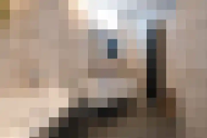 Knoopshöfte 29 Almelo thumbnail 16
