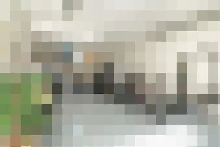 Knoopshöfte 29 Almelo thumbnail 26