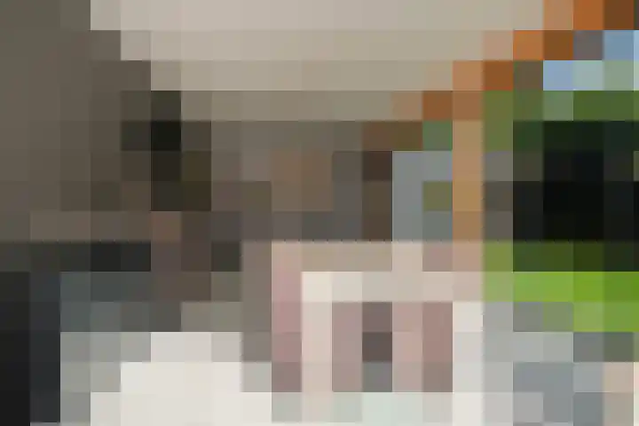 Knoopshöfte 29 Almelo thumbnail 30