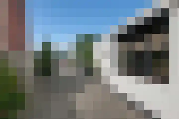 Knoopshöfte 29 Almelo thumbnail 33